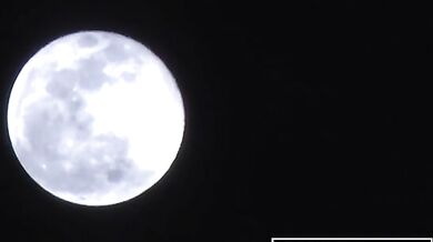 I Fucked My Beautiful Asian Stepmom In Australia (Decensored