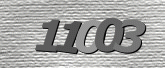 Immagine di protezione