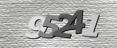 Captcha resmi