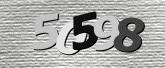 Captcha resmi