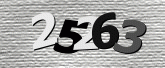 Captcha resmi