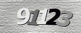 验证码